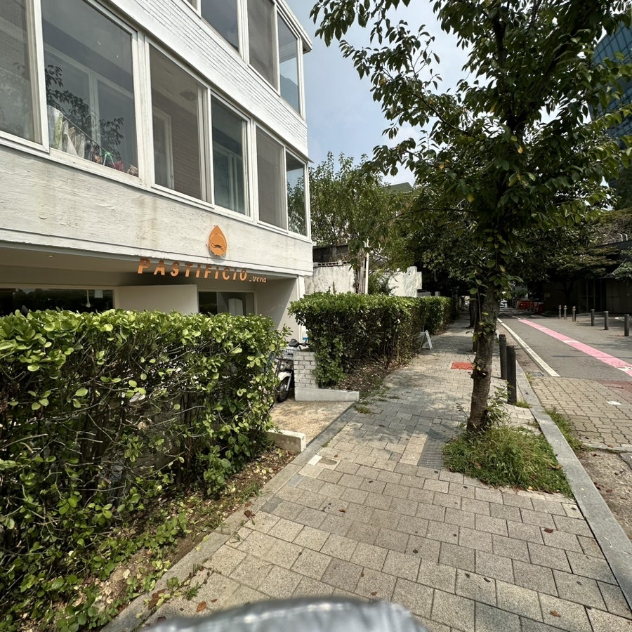파스티피쵸 트레비아 사진 2