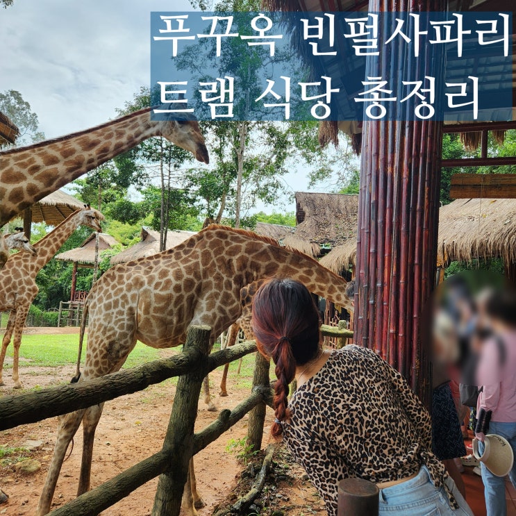  푸꾸옥 빈펄 사파리 기린 식당 식음료바우처 트램