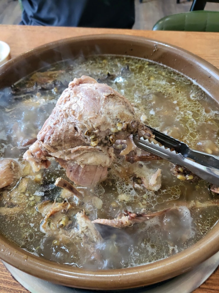  서울근교 백숙 고양맛집 몸보신에 좋은 숲속마을 오리백숙 찐맛집