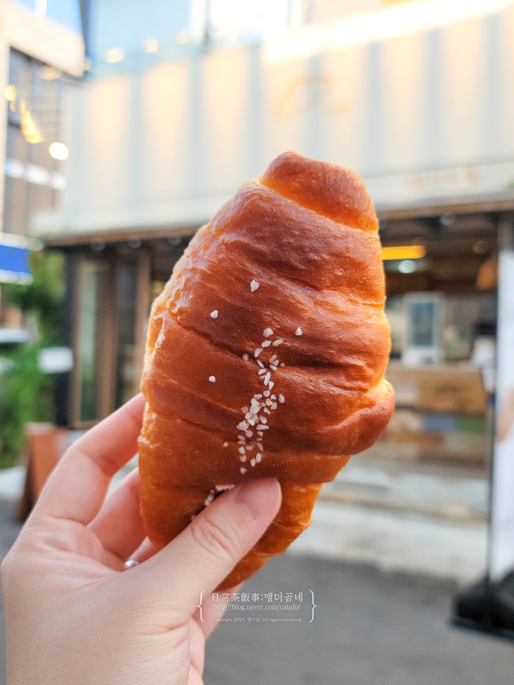  여수 소금빵 염전의 봄 이순신광장 빵지순례