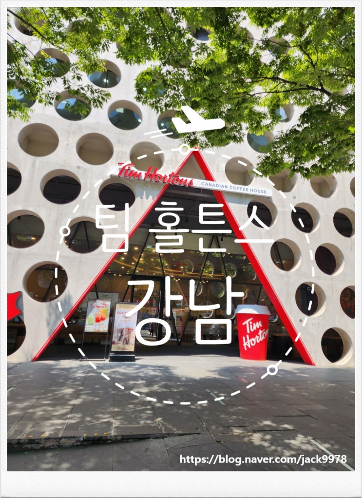  강남의 팀홀튼스: 캐나다 추억을 찾아 떠난 여정