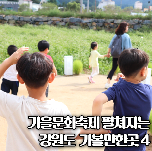  정선아리랑제 펼쳐지는 2024년 가을축제일정 드라이브로 가볼만한 4곳 추천