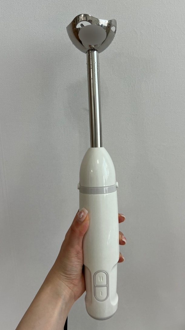  노브랜드 핸드 블렌더 간편한데 파워가 약한 편