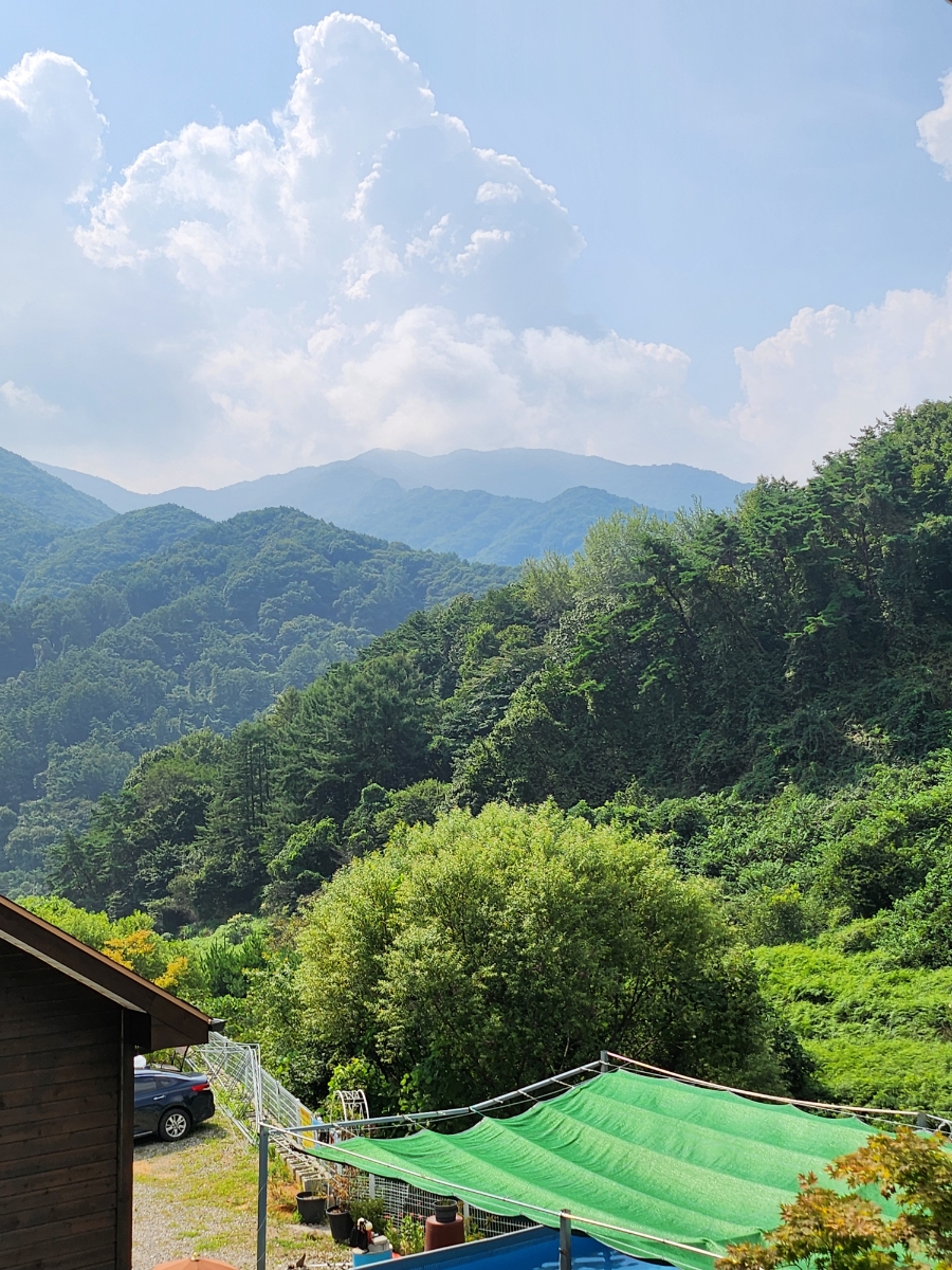 금자네펜션 사진 2