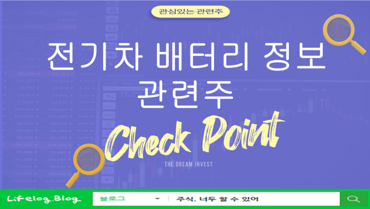 당정 전기차 배터리 정보공개 <b>의무화</b> (전기차 배터리 정보 공개... 