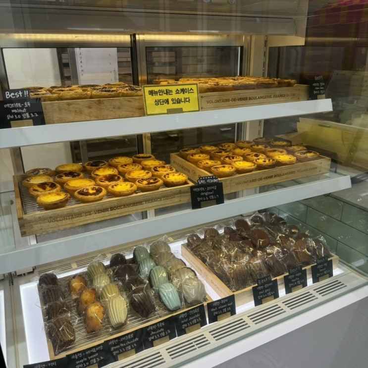  속초 중앙시장 맛집 선물용으로 좋은 에그타르트 기념품 도리스파티세리