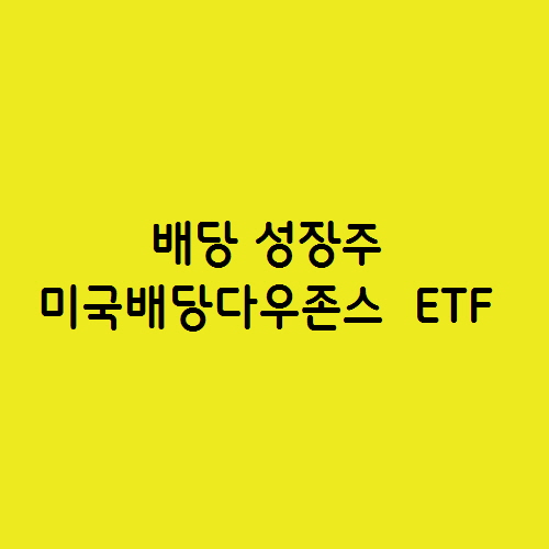  배당 성장주 SCHD 미국배당다우존스  ETF 추천