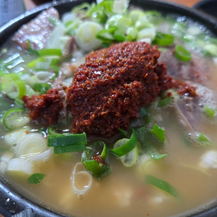  [금성해장국] 강릉 현지인 로컬 맛집 해장으로 최고인 가성비 소머리국밥
