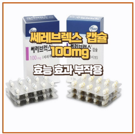  쎄레브렉스캡슐 100mg 효과 성분 주의사항 이것만은 꼭 알아야