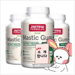 자로우 매스틱검: 역류성 식도염과 소화불량 개선한 후기 자로우 매스틱검: 역류성 식도염과 소화불량 개선한 후기