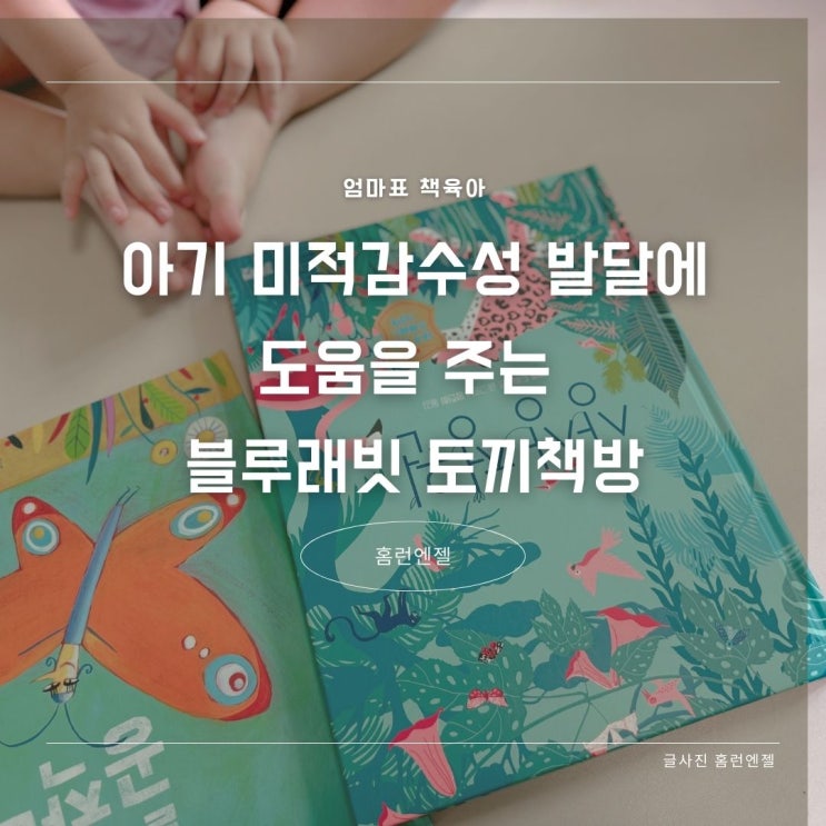 아기 미적감수성 발달에 도움을 주는 블루래빗 토끼책방