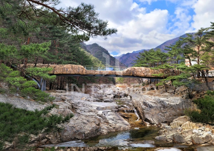  동해무릉계곡 인도교 경관보도교 경관교량 경관보행교 경관보도교 경관인도교 경관조형물 조형물설계 교량특허공법 교량거더 교량제작설치 락웍조형물 교량외장재