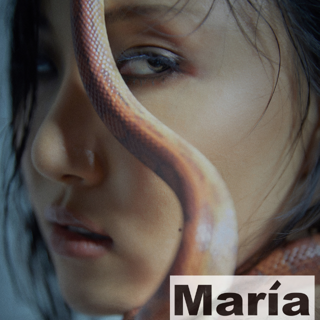 대체 불가 에너지 화사의 화려한 솔로 컴백곡 '화사-Maria' 가사&듣기