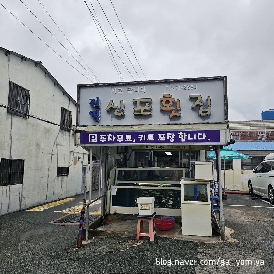 진영신포횟집 사진 2