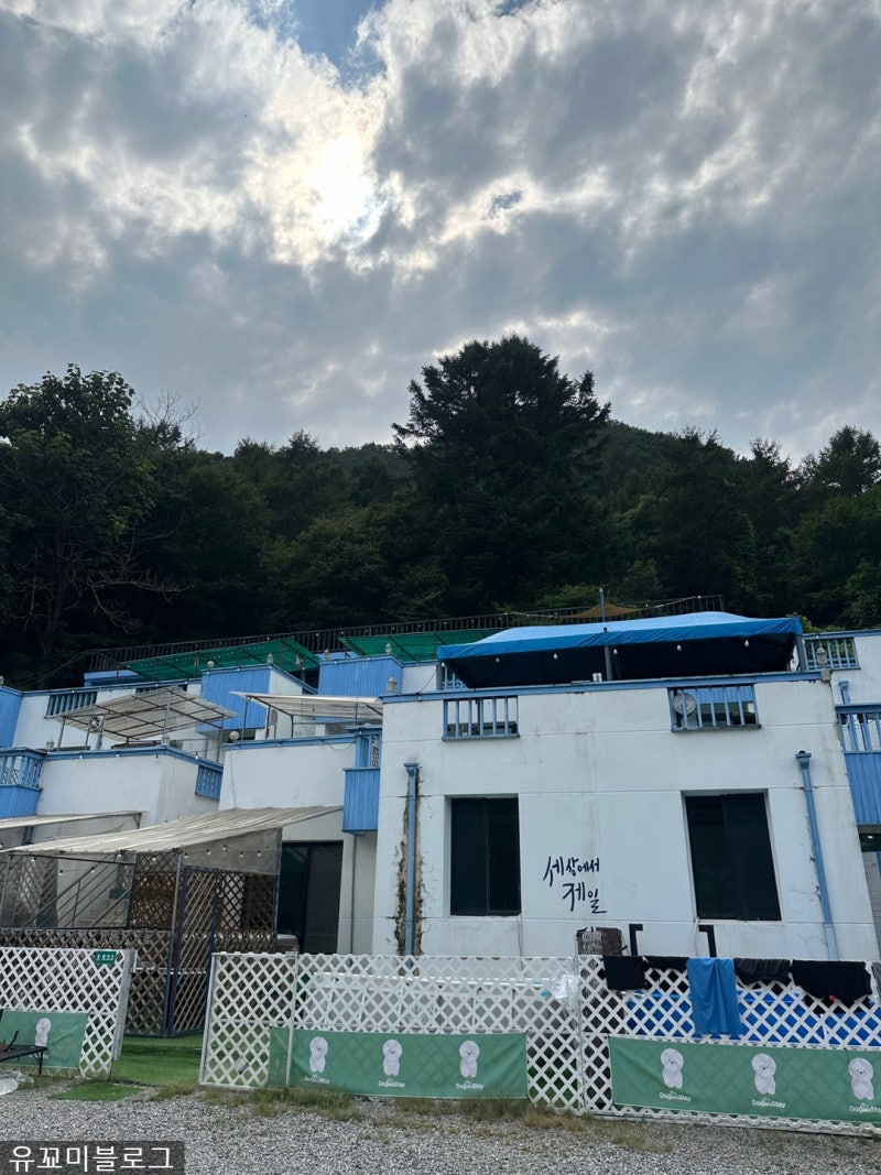 사진 10