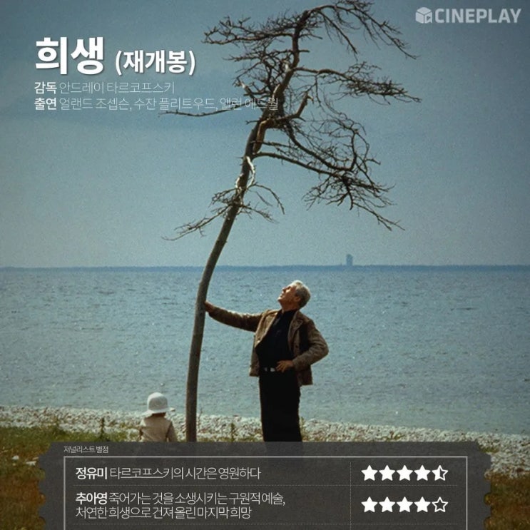 국내 평론가 24년 8월 4주 영화 별점 한줄평(희생, 에이리언: 로물루스, 프로이트의 라스트 세션, 필사의 추격 등) 국내 평론가 24년 8월 4주 영화 별점 한줄평(희생, 에이리언: 로물루스, 프로이트의 라스트 세션, 필사의 추격 등)