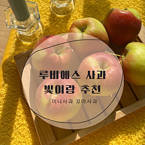 미니사과 꼬마사과 귀여운데 맛까지 있어 루비에스사과 추천!!