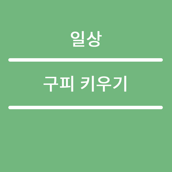  수족관 LED등 조명 교체 구피 키우기~