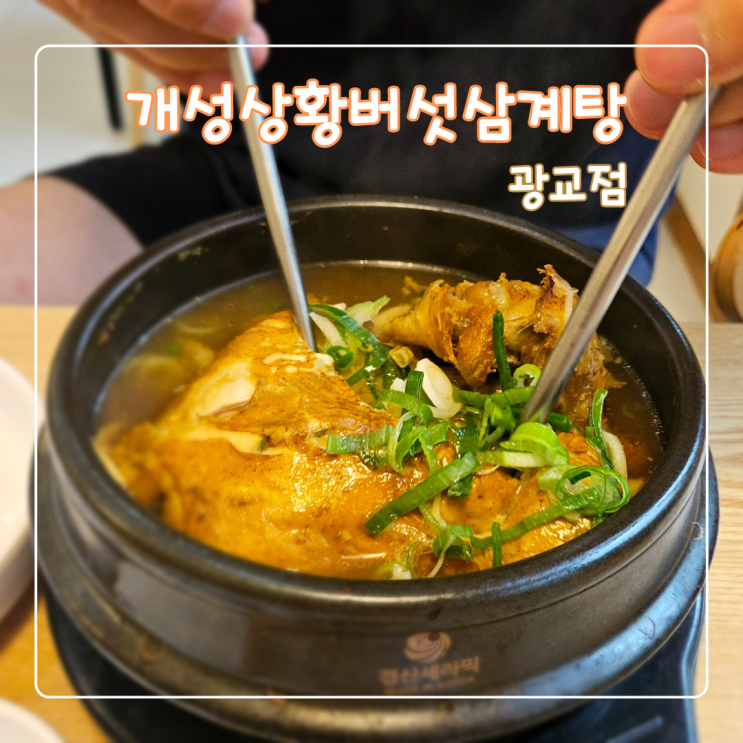  광교보양식 개성상황버섯삼계탕 광교점 후기 (위치안내)
