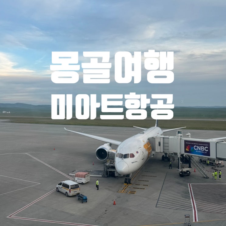  몽골 비행기 MIAT 미아트 항공 OM310 이용후기 왕복 기내식 수화물 규정