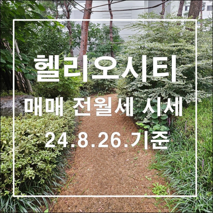 헬리오 시티 매매 전월세 시세 24년 8월 26일 기준