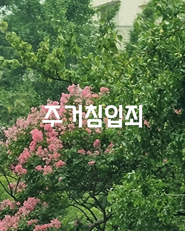  주거침입죄 해당사항 알아보기