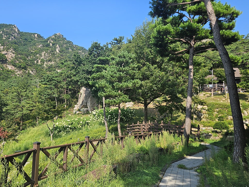 용봉산자연휴양림숲속의집 사진 5