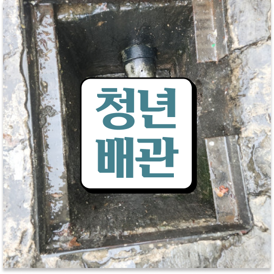  강남구 신사동 청년배관케어 화장실하수도막힘 똑똑한 주부의 선택