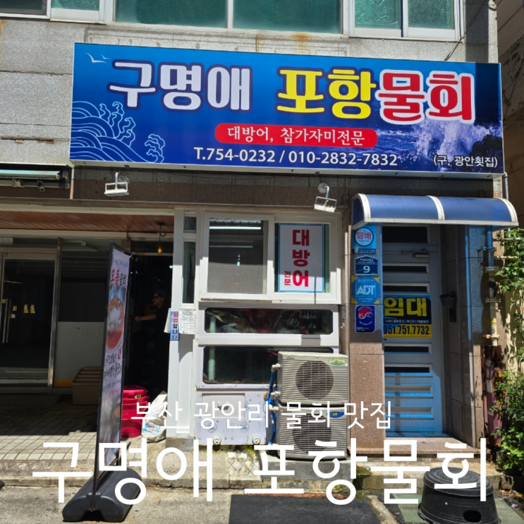  부산 광안리 물회 맛집 구명애포항물회 광안리본점 애견동반 가능