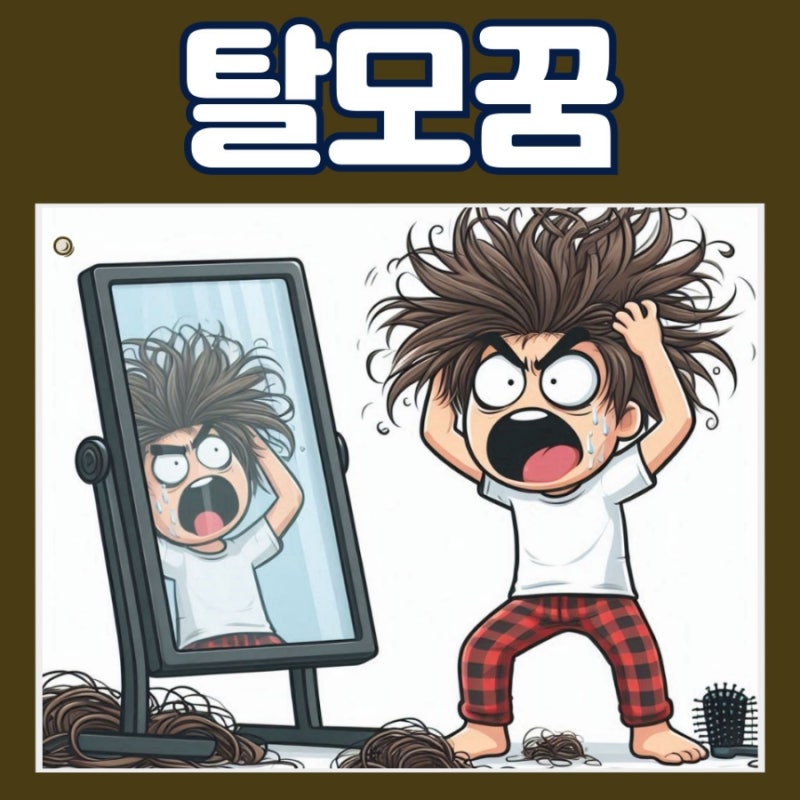 탈모 꿈 원형탈모꿈 해몽 의미 알아보기