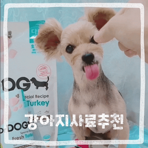  강아지 다이어트사료 추천 기호성 좋은 저지방사료 닥터독