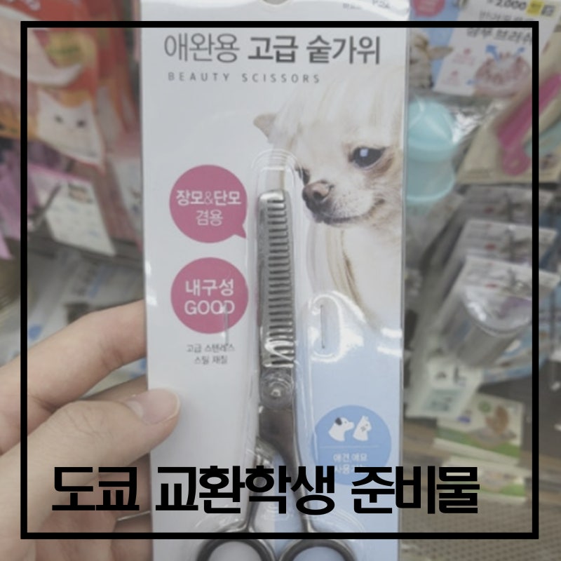 [도쿄 교환학생] 일본 교환학생 가기 전 필수로 준비해야할 것들, 어플 등 쓰면 좋은 것들 정....