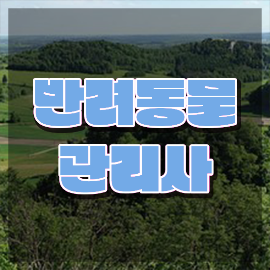  경단녀 , 반려동물관리사 자격증 학습한 후기 정리해드립니다