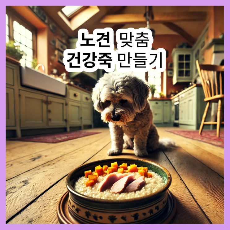  노견 죽, 딱 맞는 건강죽 만들기!