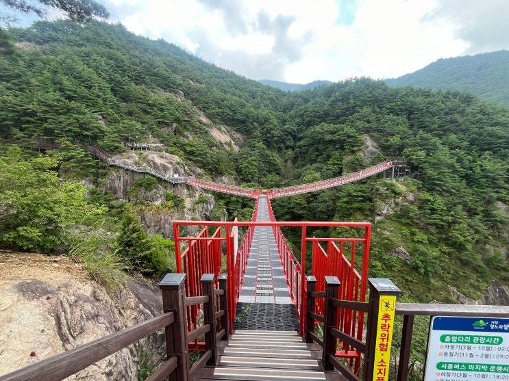  거창 항노화 힐링랜드, 우둔산 Y자형 출렁다리