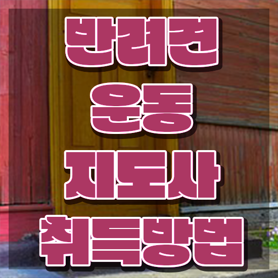  40대여자취업 , 반려견운동지도사 일과 병행하며 비전공 직장인도 최단기간 준비하는 과정