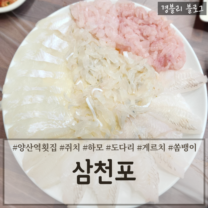  양산중부동횟집 삼천포에서 산지직송하는 자연산모듬회맛집 양산노상횟집 '삼천포'