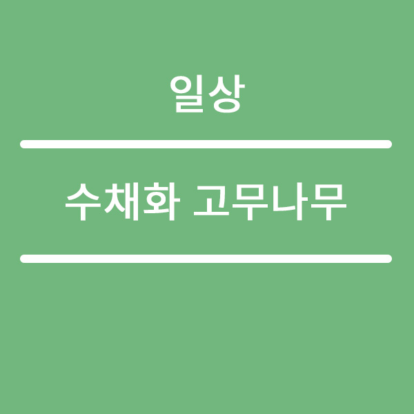  수채화 고무나무 잎이 수묵화 느낌이 나요~