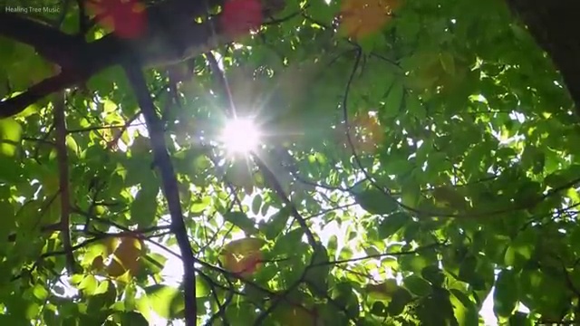  수산물품질관리사 자격증 , 취득한 과정