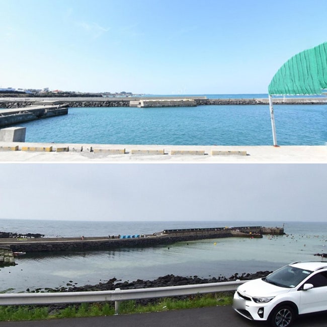 제주 판판포구 월령포구 수영 스노클링 명소