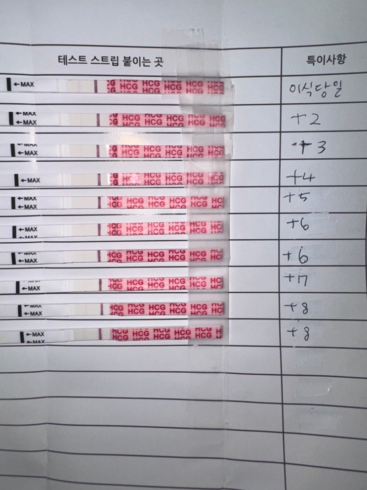 3일배양 1일차 ~ 8일차까지 | 임신?!