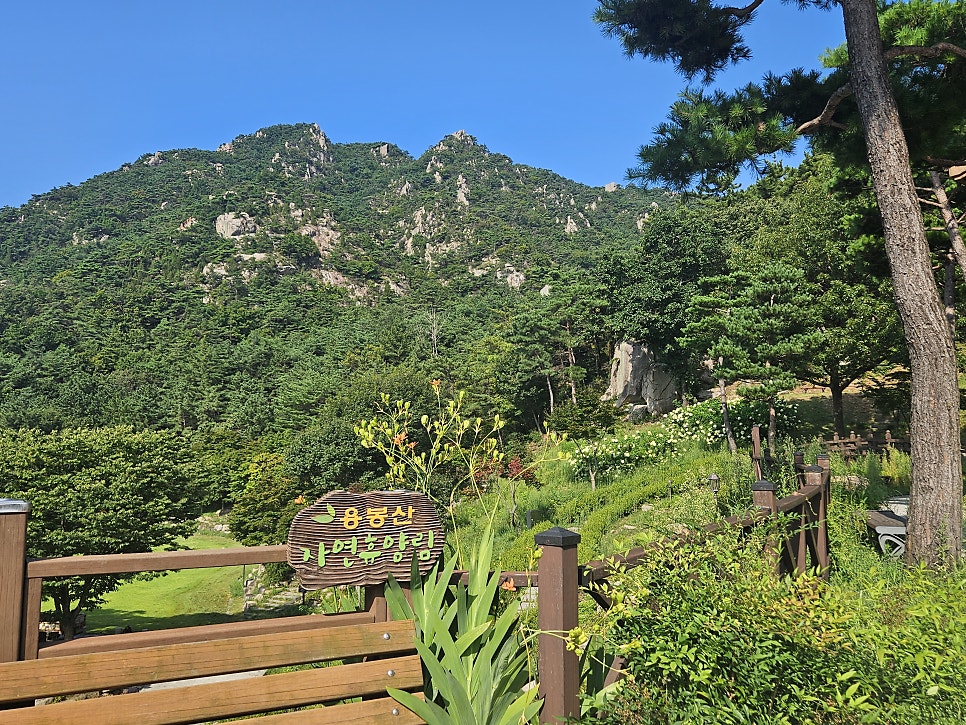 용봉산자연휴양림숲속의집 사진 1