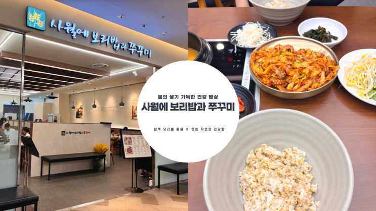  사월에 보리밥과 쭈꾸미 롯데 프리미엄 아울렛 기흥점 내돈내산 솔직후기
