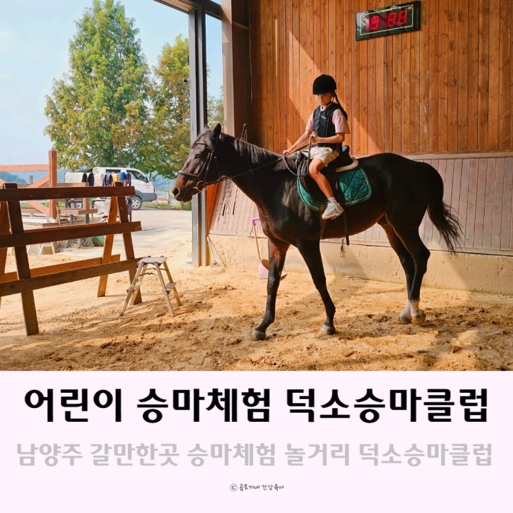 경기도 어린이 승마체험 남양주 갈만한곳 놀거리 덕소승마클럽 경기도 어린이 승마체험 남양주 갈만한곳 놀거리 덕소승마클럽