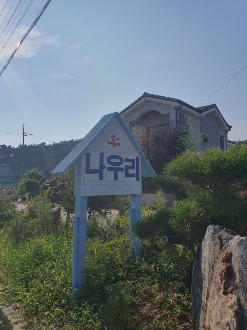 사진 3