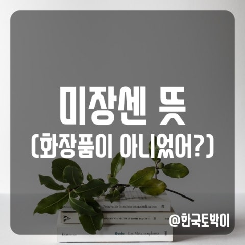  영화 미장센 뜻, 의미