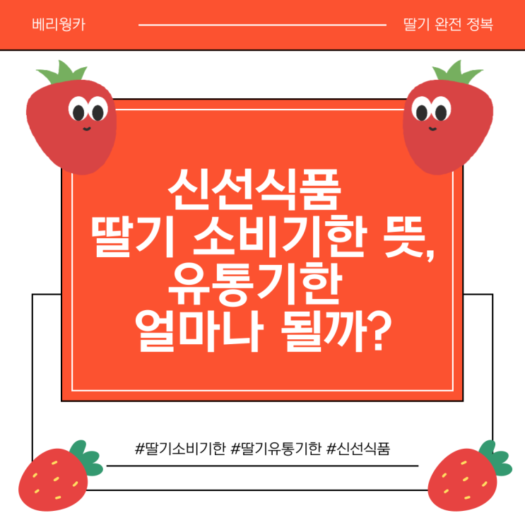  신선식품 딸기 소비기한 뜻, 유통기한 얼마나 될까?