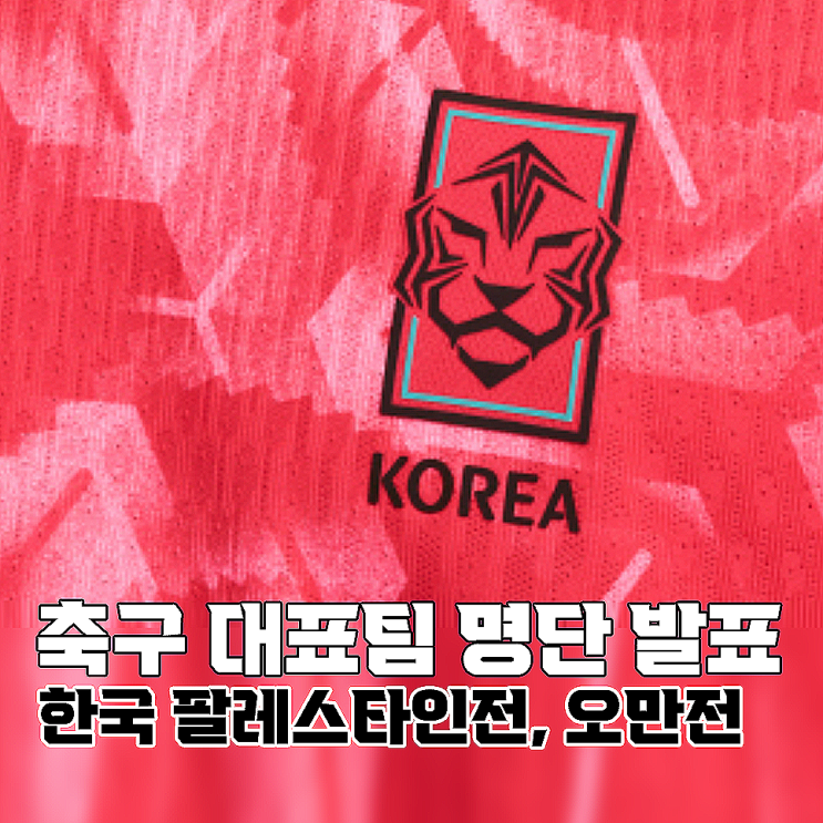 대한민국 축구 국가대표팀 명단 발표 <b>홍명보호</b>
