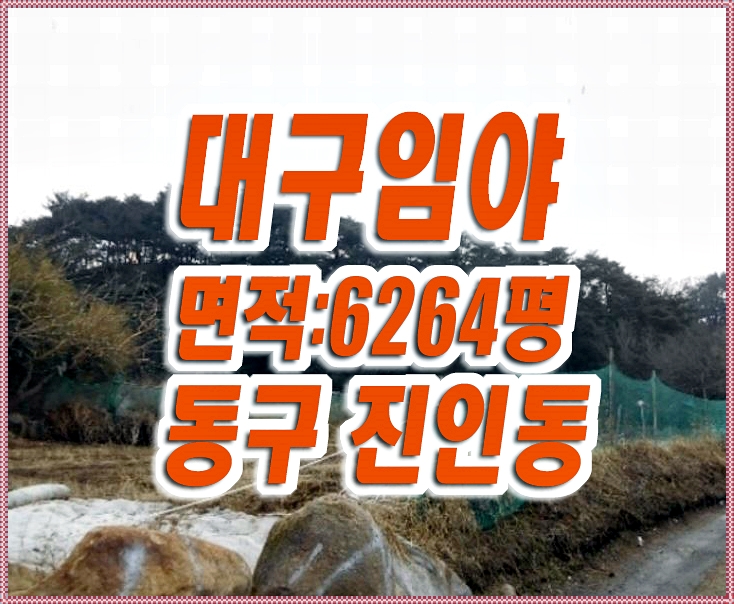 대구 임야경매 동구 진인동 산 가족묘 납골당 대구 임야경매 동구 진인동 산 가족묘 납골당