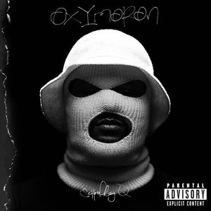  ScHoolboy Q (스쿨보이 큐) - Hell Of A Night